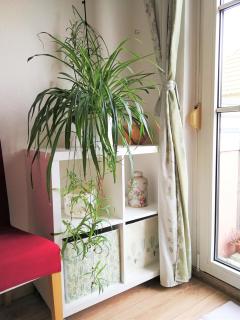 Quiet City-Apt, 4min City-Center, 18min Fair Nürnberg!!! - 2