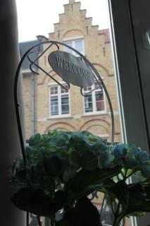 Temps de Pose - Ypres - 8