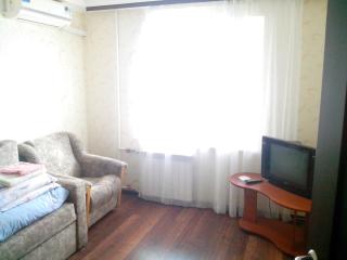 Beautiful and comfortable 2 rooms apartment - Kiev - 1