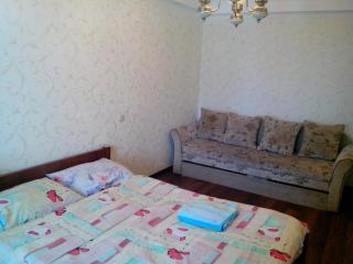 Beautiful and comfortable 2 rooms apartment - Kiev - 7