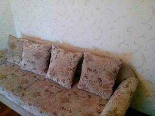 Beautiful and comfortable 2 rooms apartment - Kiev - 5