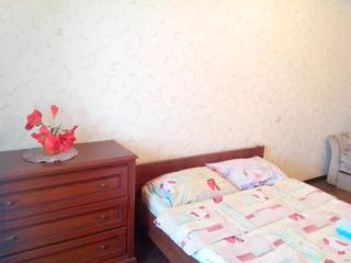 Beautiful and comfortable 2 rooms apartment - Kiev - 9