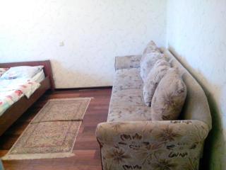 Beautiful and comfortable 2 rooms apartment - Kiev - 6