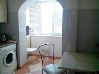 Homelike flat near the IEC on Levoberezhnaya - Kiev - 5