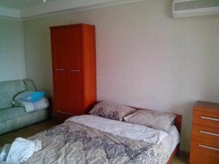 Homelike flat near the IEC on Levoberezhnaya - Kiev - 9