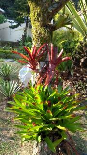 Pousada Valparaiso - 6