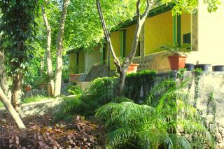 The Last Shola - Yercaud - 5