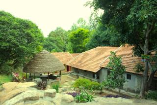 The Last Shola - Yercaud - 6