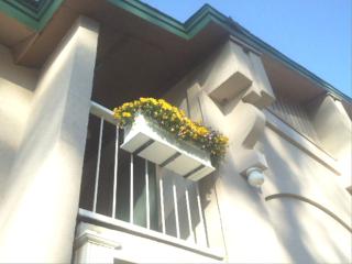 West Bank Inn - 1