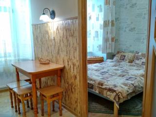 Apartment on Virmens'ka Street - Lviv - 2