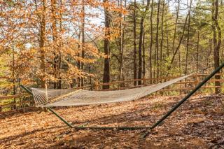 Aska Woodlands - 8