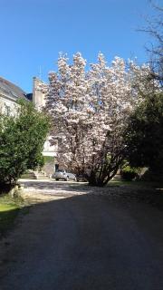 Logis Hotel L'europe - Pontivy - 3