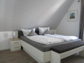 Strandflieder Backbord - Norderney - 0