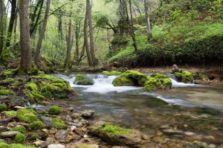Mobile home Slapnica u Parku prirode Žumberak - Krašić - 1