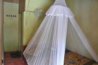 Fun Family Guest House n Jungle Tour - Bukit Lawang - 4