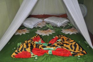 Fun Family Guest House n Jungle Tour - Bukit Lawang - 3