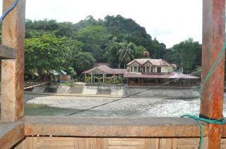 Fun Family Guest House n Jungle Tour - Bukit Lawang - 5