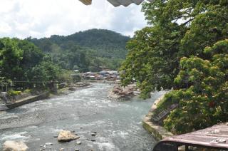 Fun Family Guest House n Jungle Tour - Bukit Lawang - 8