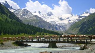 Hotel Roseg-Gletscher - Pontresina - 9