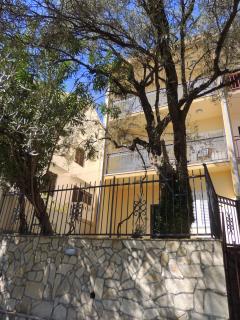 Guest House Jelena - 8