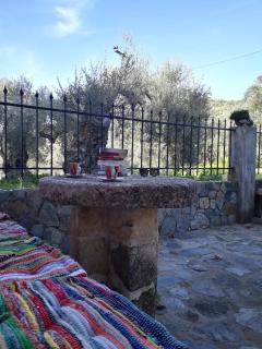 Hidden House in Nature - 4