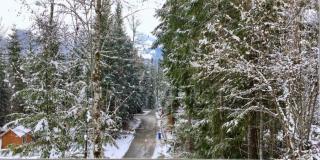 Packwood Ski & Vacation Getaway - Packwood - 5