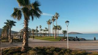 Mustapha - Nador - 1