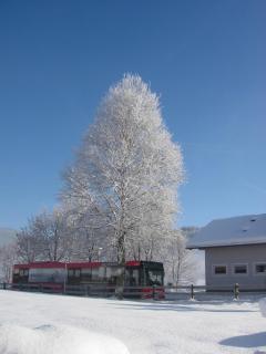 Feriengut Fingerhof - Flachau - 4
