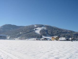 Feriengut Fingerhof - Flachau - 5