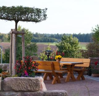 Landhotel Traube - Seewald - 8