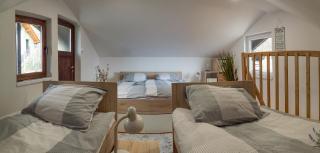 Apartma PEPI - Rogaška Slatina - 1