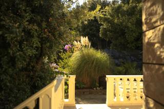 Diving Apartments - Molunat - 5