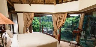 Premier Resort Mpongo Private Game Reserve - Macleantown - 6
