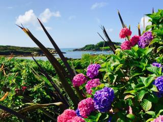 Carraig-Mor House Bed & Breakfast - 8