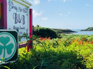Carraig-Mor House Bed & Breakfast - 0