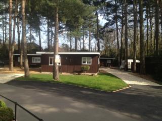 California Chalet & Touring Park - Wokingham - 7