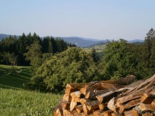 Zuwälder Stüble - Oberharmersbach - 1
