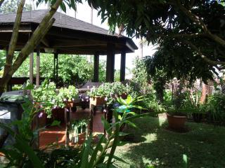 Les Agapanthes - Le Tampon - 4