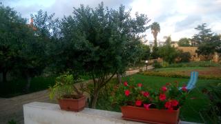 Residence Il Giunco - Presicce - 2