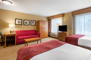 Comfort Suites Wilmington near Downtown - 9