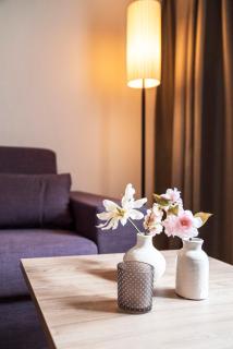 Daxburg Apartments - Innsbruck - 9
