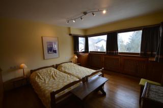 Anna House - Celerina - 2