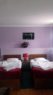 Nino Khetaguri Guest House - 4