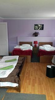 Nino Khetaguri Guest House - 6