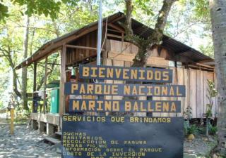 Casa Morpho Uvita Guesthouse - 1