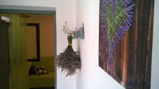 Tome - Pridraga - 4