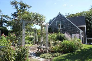 Lavender Bay - Barnstable - 9