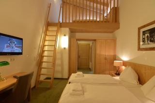 Hotel St. Florian - Kaprun - Kaprun - 7