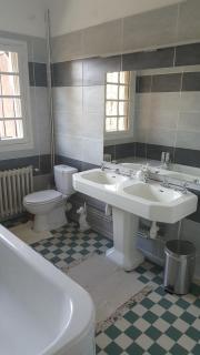 Le Manoir du coeur volant B&B - Saint-Aignan - 5