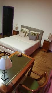Le Manoir du coeur volant B&B - Saint-Aignan - 6